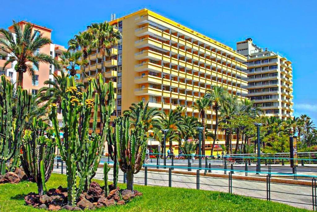 Estudio para dos en Martianez Puerto de la Cruz  Bagian luar foto