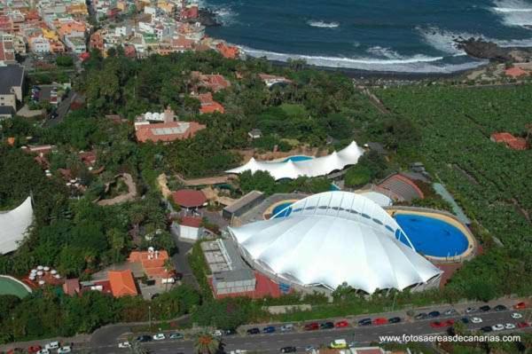Estudio para dos en Martianez Puerto de la Cruz  Bagian luar foto
